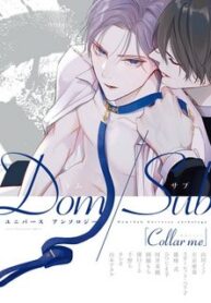 collar-me-dom-sub.jpg
