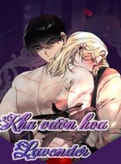khu-vuon-hoa-lavender-.jpg