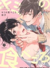 kimi-no-tabegoro.jpg