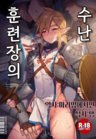 kunrenhei-no-junan-the-legend-of-zelda-dj.jpg