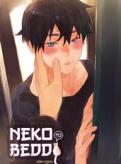 neko-to-beddo.jpg