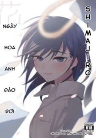 ngay-hoa-anh-dao-roi.jpg