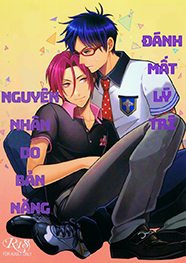 no-le-tinh.jpg