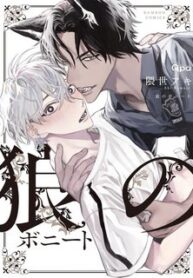 ookami-no-bonito.jpg
