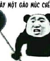 quan-ly-cua-park-hanhoo.jpg