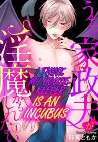 toi-nghi-nguoi-giup-viec-la-incubus.jpg