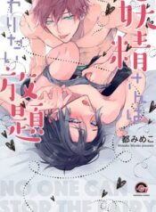 yousei-san-wa-yaritai-houdai.jpg