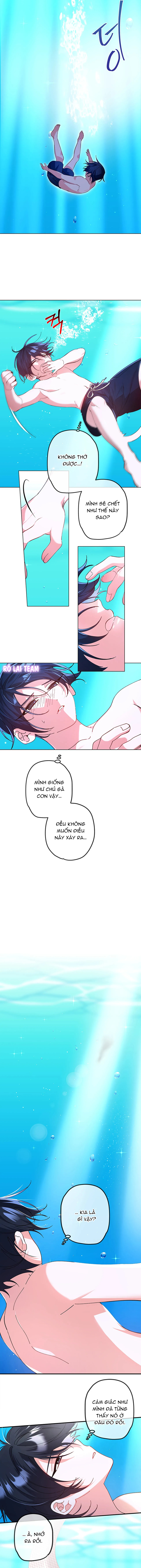 Hội Chứng Nàng Tiên Cá Chapter 1 - Trang 2