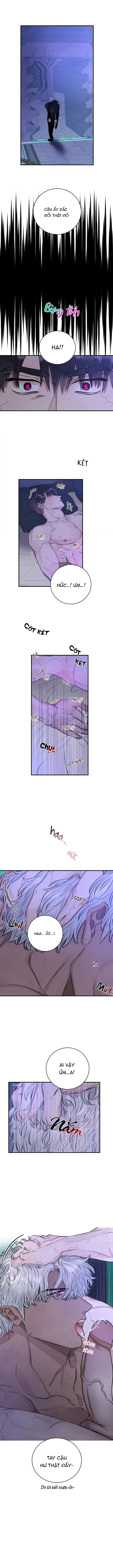 Kiêu Ngạo Trước Khi Sa Ngã Chapter 3 - Trang 2