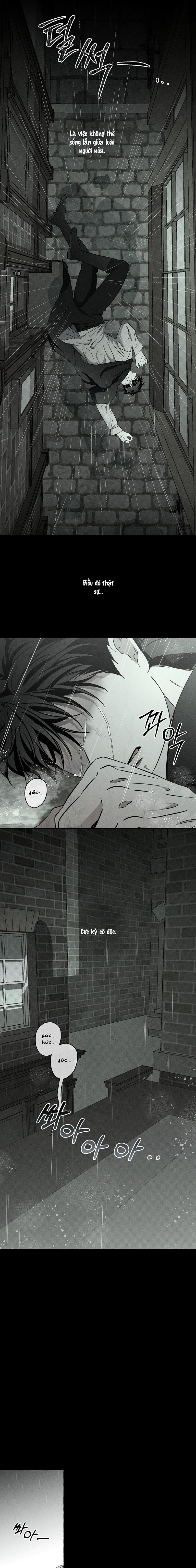 Đóa Hoa Xương Chapter 42 - Trang 2