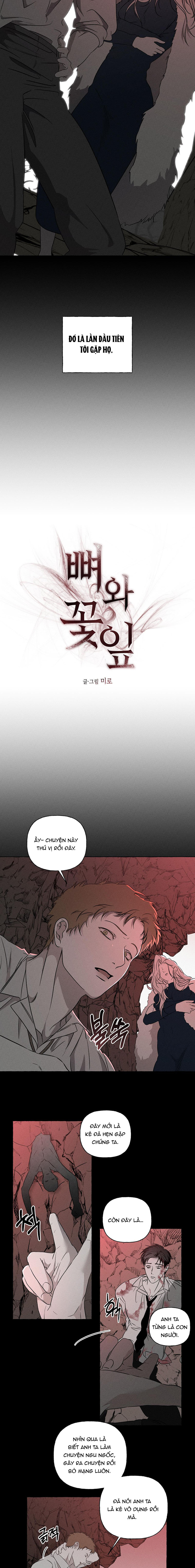 Đóa Hoa Xương Chapter 41 - Trang 2