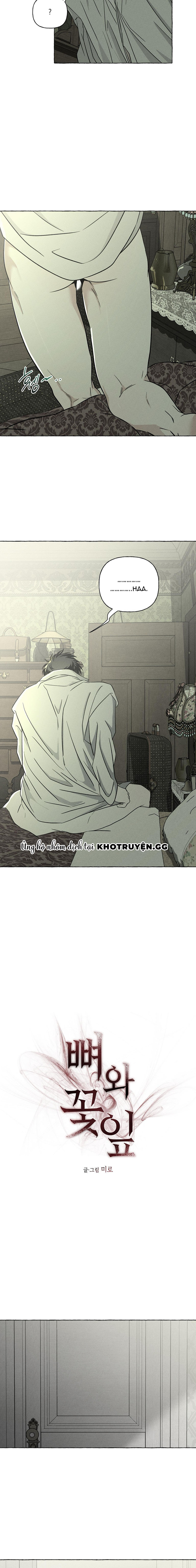 Đóa Hoa Xương Chapter 36 - Trang 2