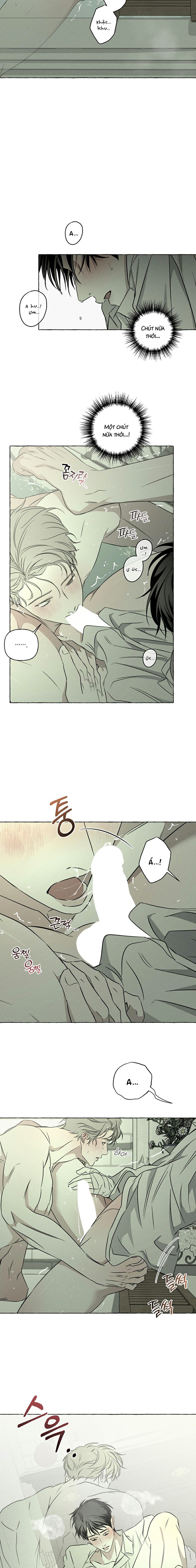 Đóa Hoa Xương Chapter 44 - Trang 2