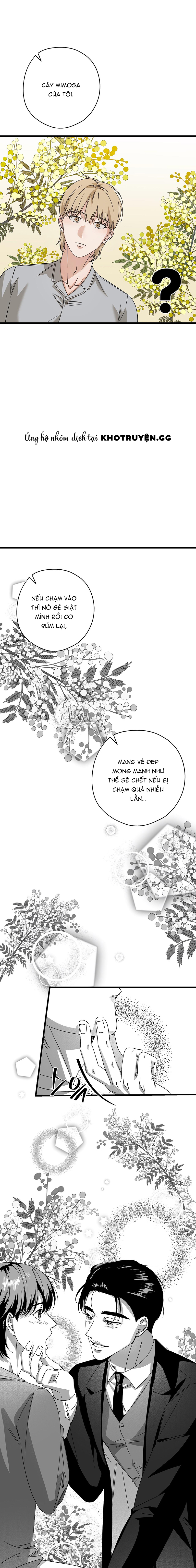 Hợp Đồng Kẹo Ngọt Chapter 21 - Trang 2