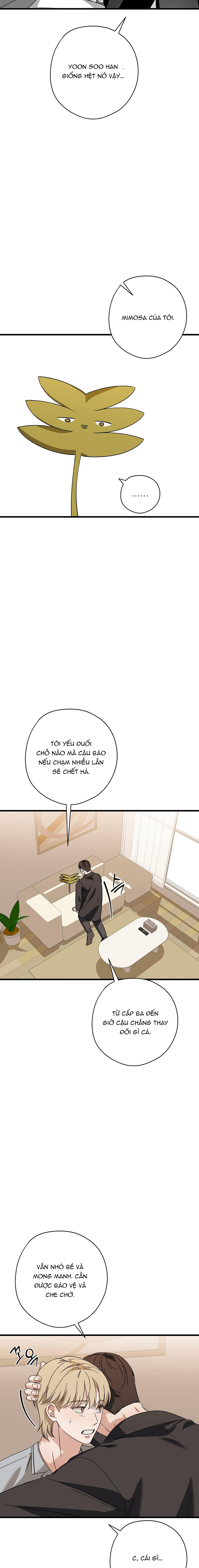 Hợp Đồng Kẹo Ngọt Chapter 21 - Trang 2