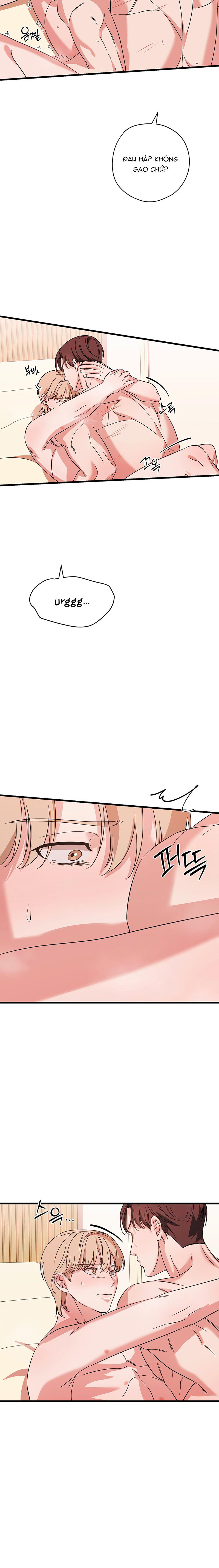 Hợp Đồng Kẹo Ngọt Chapter 21 - Trang 2