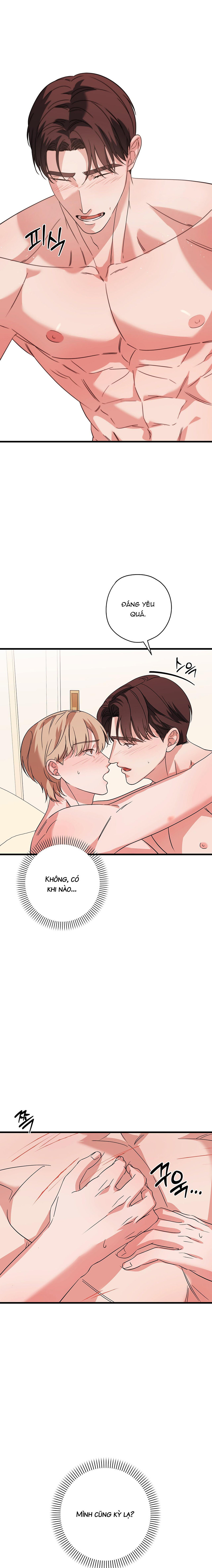Hợp Đồng Kẹo Ngọt Chapter 21 - Trang 2