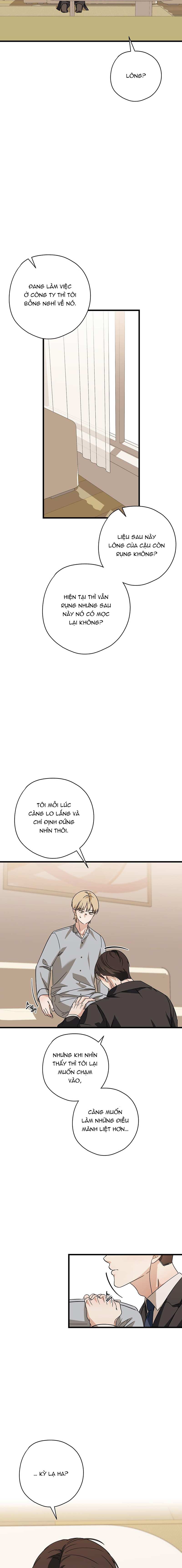 Hợp Đồng Kẹo Ngọt Chapter 21 - Trang 2