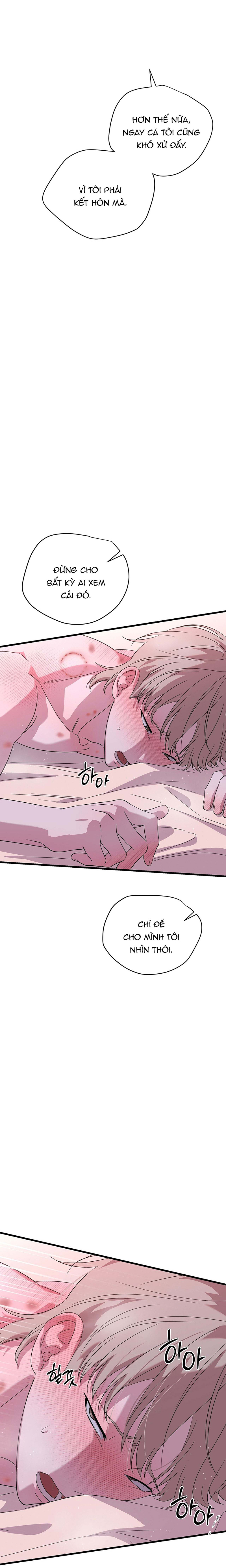Hợp Đồng Kẹo Ngọt Chapter 11 - Trang 2
