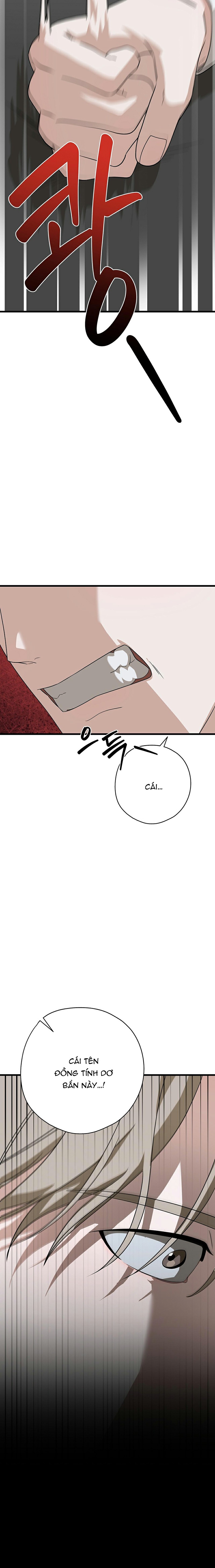Hợp Đồng Kẹo Ngọt Chapter 4 - Trang 2