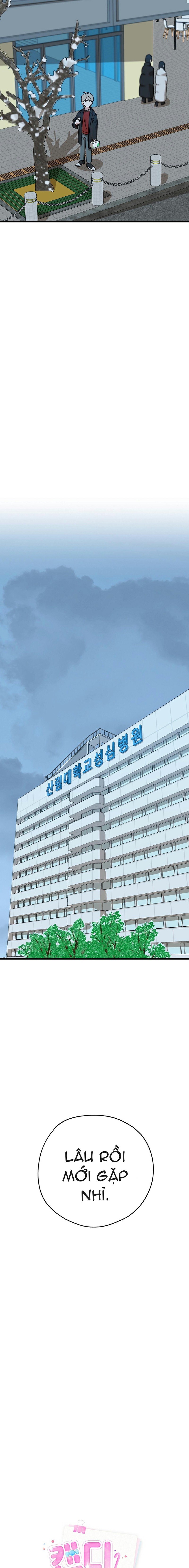Hợp Đồng Kẹo Ngọt Chapter 5 - Trang 2