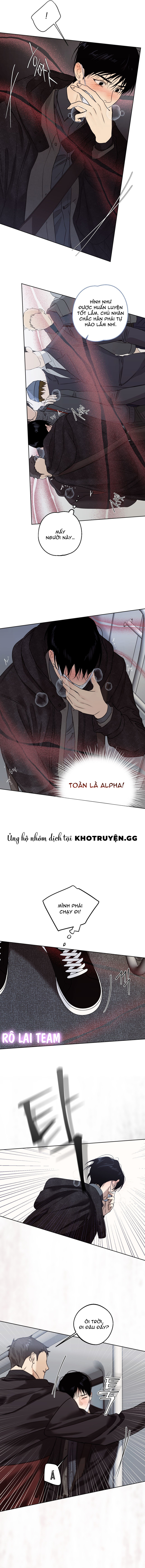 Báo Cáo Bí Mật Về Nô Lệ Omega Chapter 1 - Trang 2