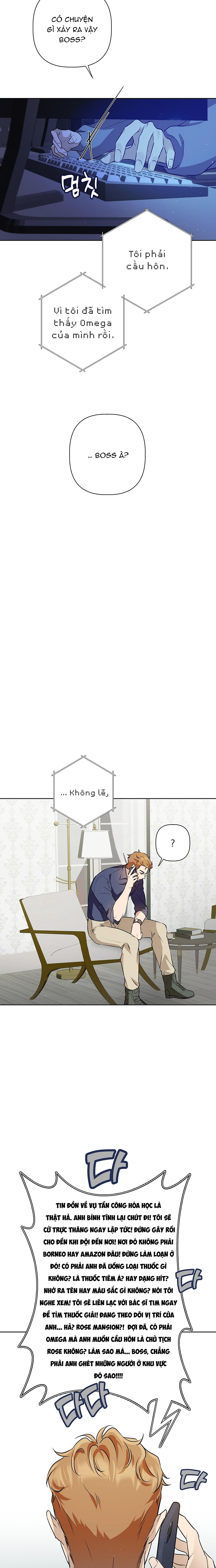 Omega Hoàn Hảo Chapter 4 - Trang 2