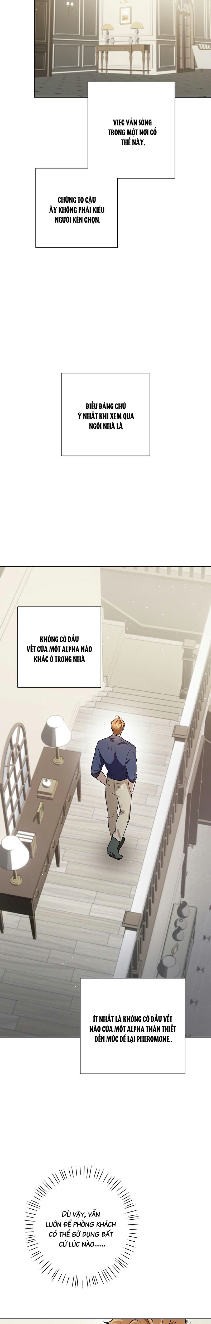 Omega Hoàn Hảo Chapter 3 - Trang 2