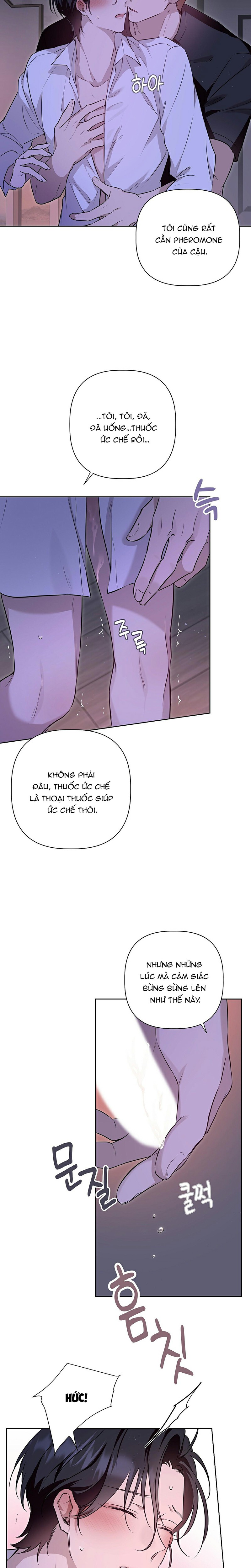 Omega Hoàn Hảo Chapter 6 - Trang 2