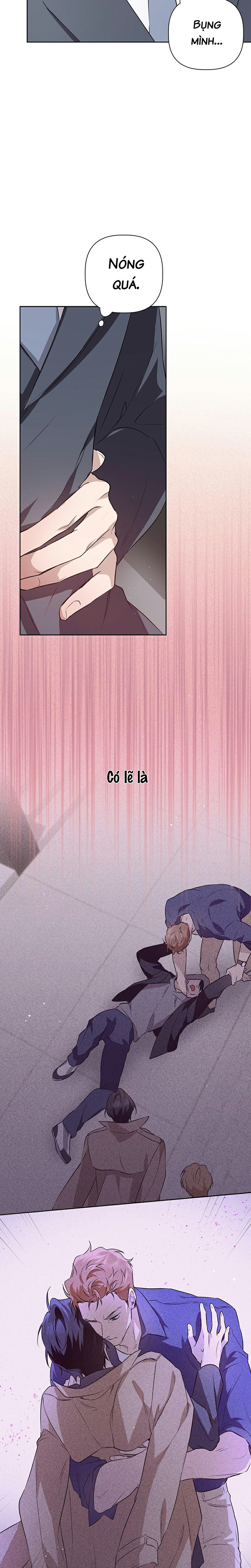 Omega Hoàn Hảo Chapter 2 - Trang 2