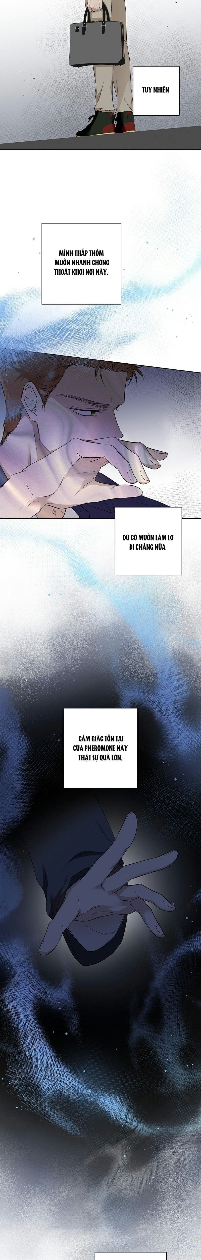 Omega Hoàn Hảo Chapter 1 - Trang 2