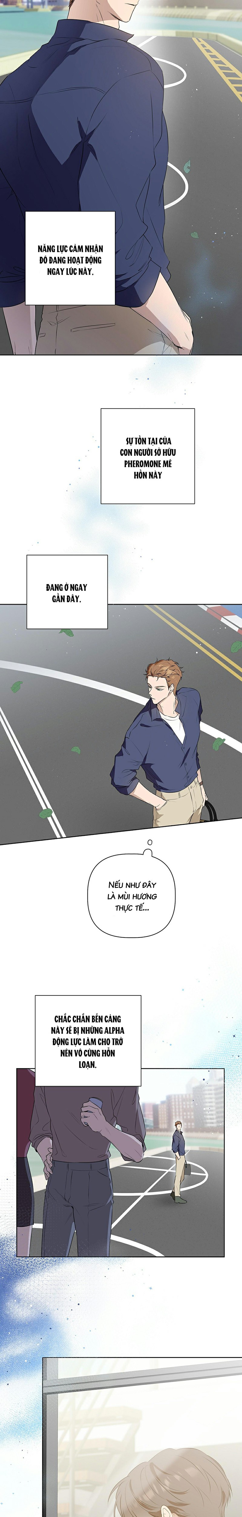 Omega Hoàn Hảo Chapter 1 - Trang 2