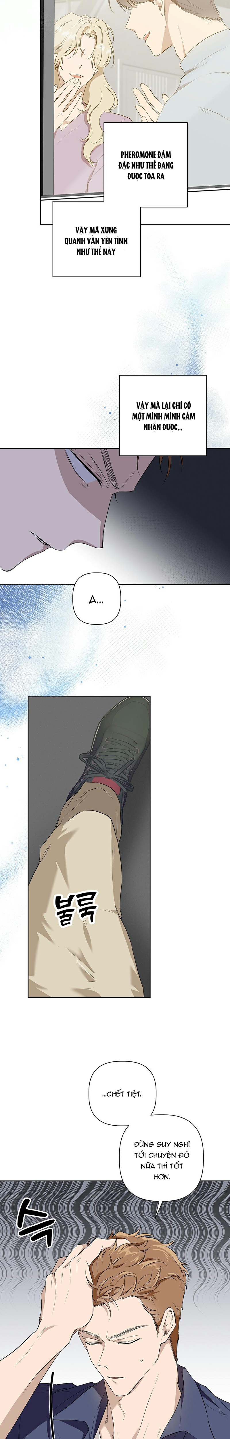 Omega Hoàn Hảo Chapter 1 - Trang 2