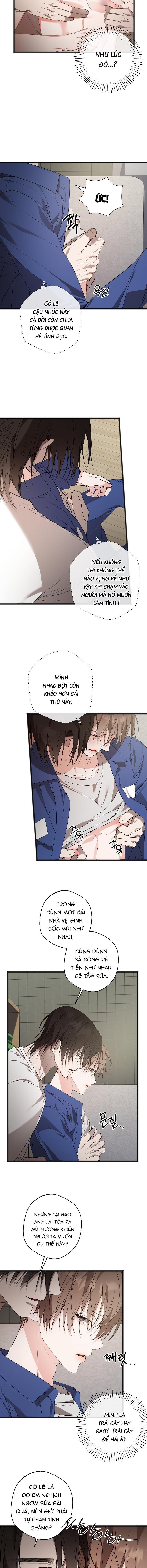 Nỗi Đau Tột Cùng Chapter 11 - Trang 2