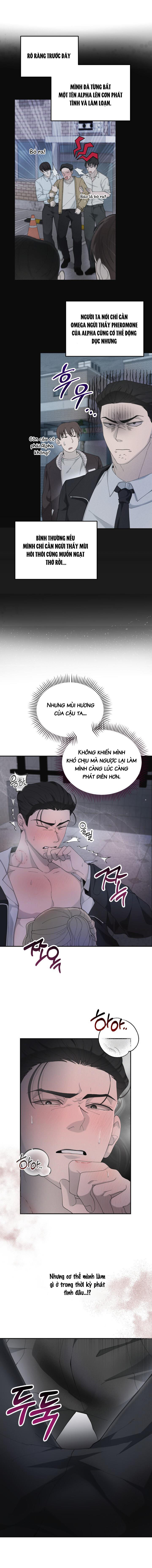 Đêm Hành Động Của Thám Tử Omega Chapter 2 - Trang 2