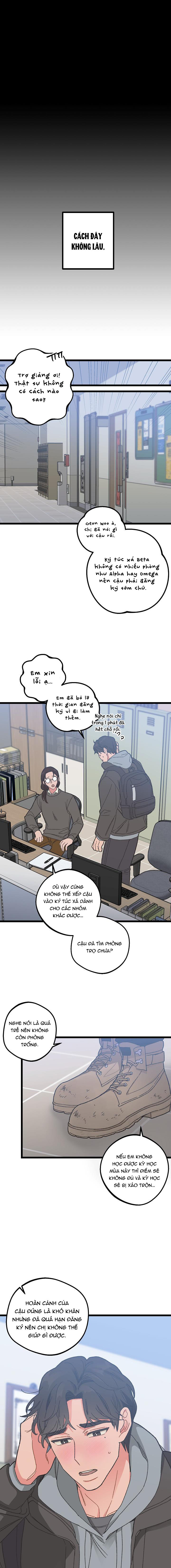 Alpha Thì Có Sao? Chapter 2 - Trang 2