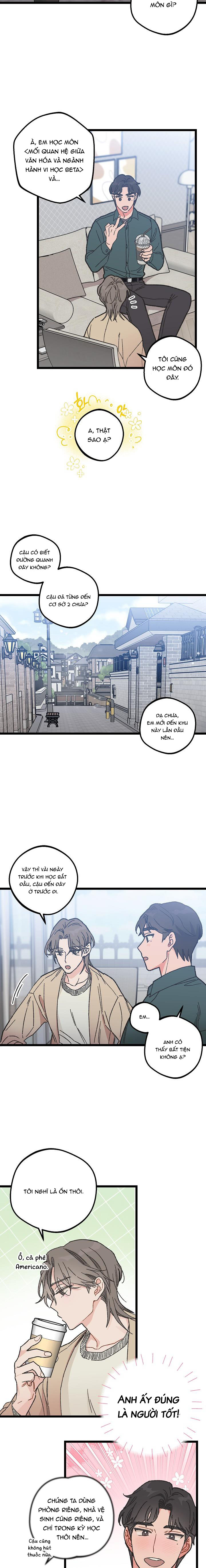 Alpha Thì Có Sao? Chapter 2 - Trang 2