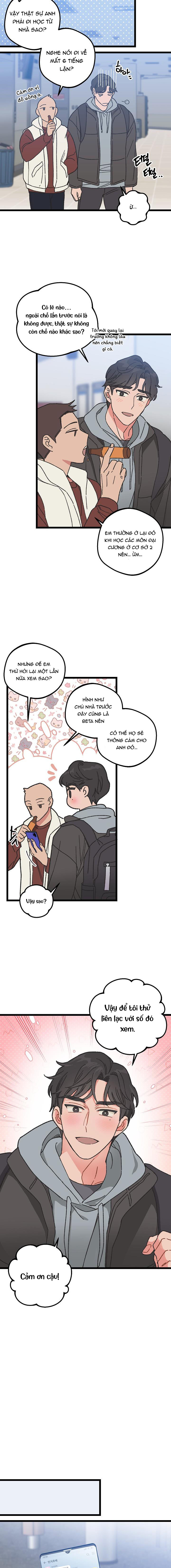 Alpha Thì Có Sao? Chapter 2 - Trang 2