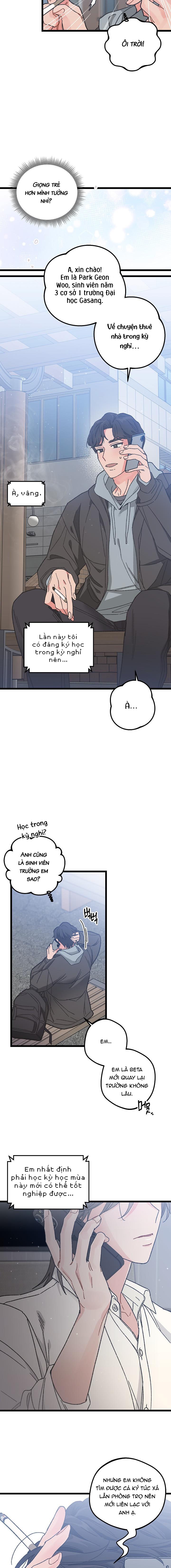 Alpha Thì Có Sao? Chapter 2 - Trang 2