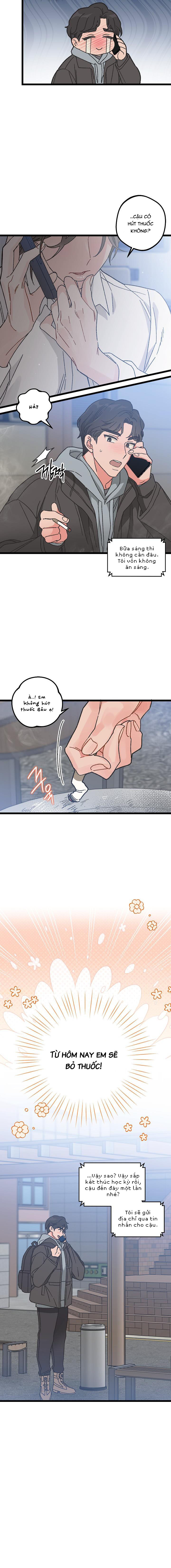 Alpha Thì Có Sao? Chapter 2 - Trang 2