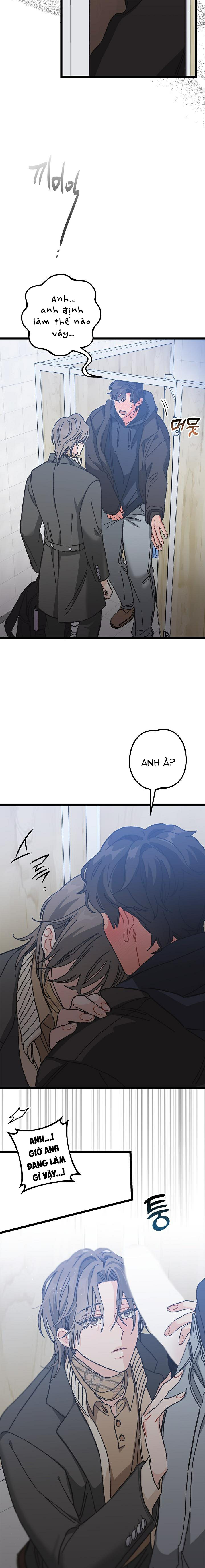 Alpha Thì Có Sao? Chapter 6 - Trang 2
