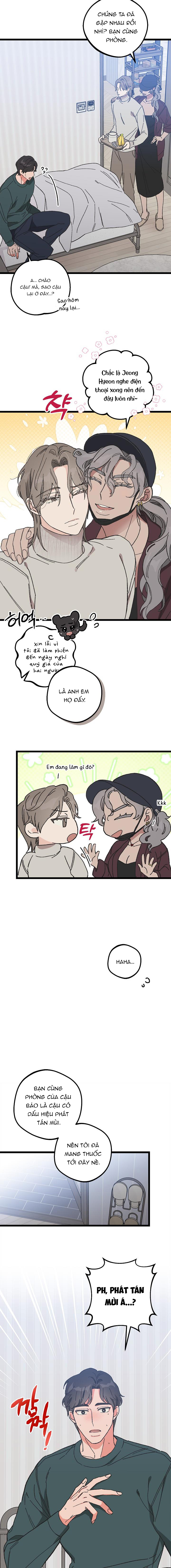Alpha Thì Có Sao? Chapter 4 - Trang 2