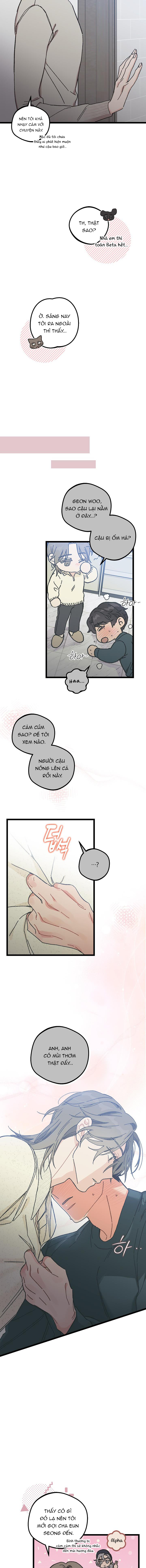 Alpha Thì Có Sao? Chapter 4 - Trang 2