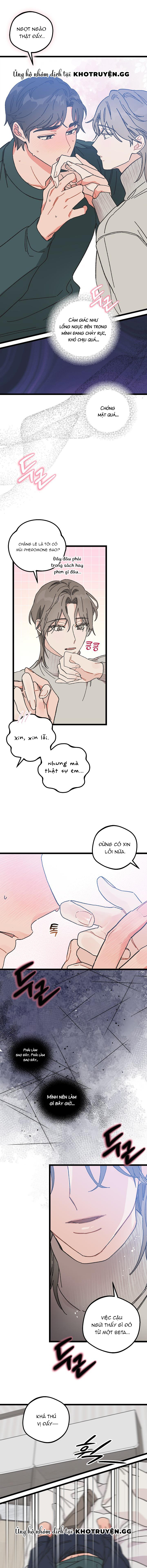Alpha Thì Có Sao? Chapter 4 - Trang 2