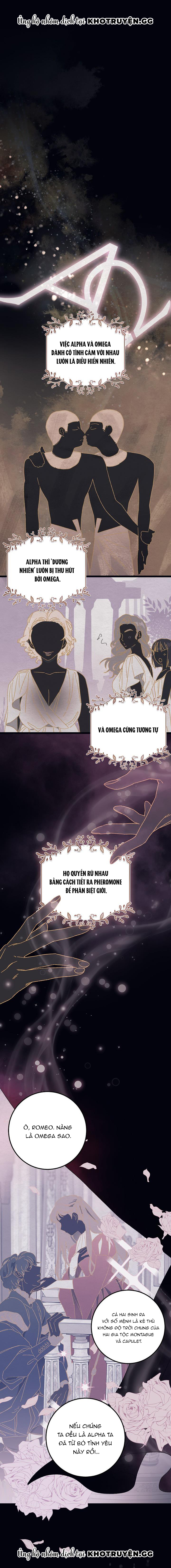 Alpha Thì Có Sao? Chapter 1 - Trang 2