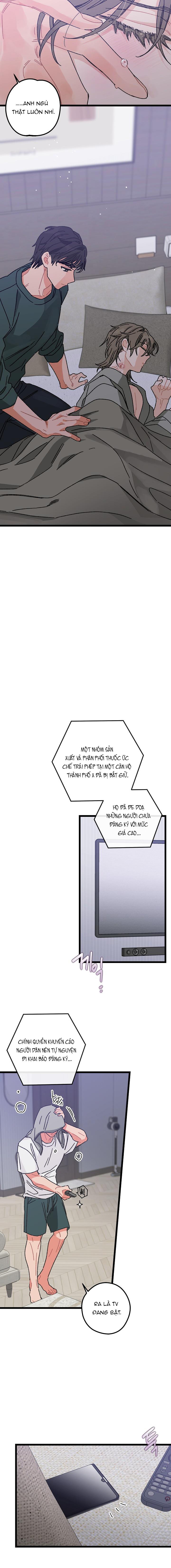 Alpha Thì Có Sao? Chapter 1 - Trang 2