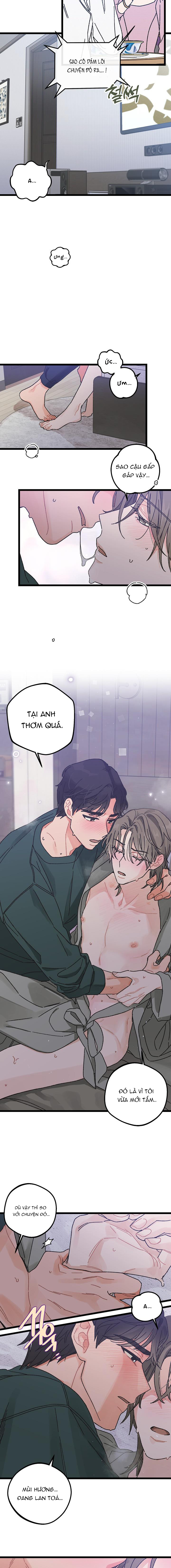 Alpha Thì Có Sao? Chapter 1 - Trang 2