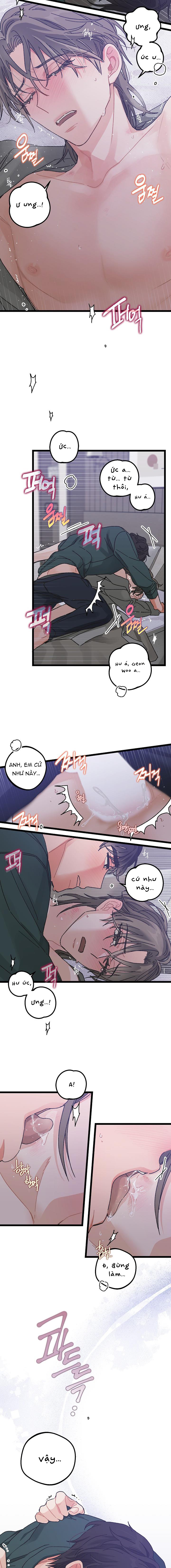Alpha Thì Có Sao? Chapter 1 - Trang 2