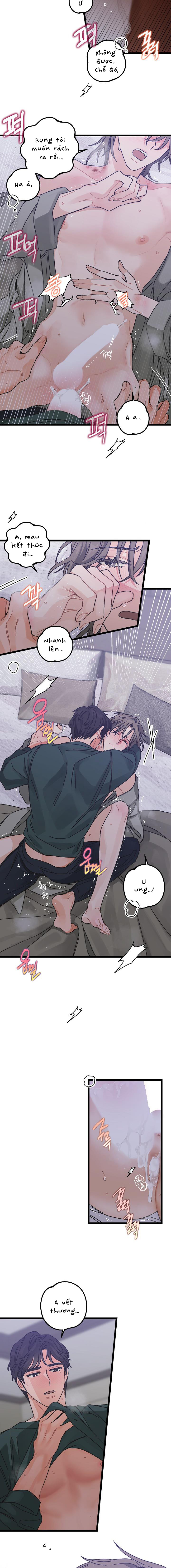 Alpha Thì Có Sao? Chapter 1 - Trang 2
