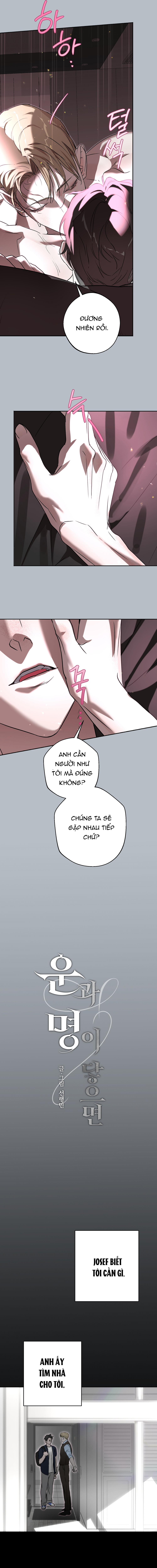 Khi Vận Mệnh Sinh Ra Chapter 3 - Trang 2